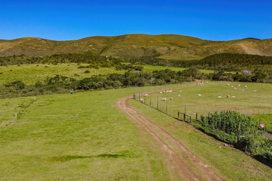 5 Bedroom Property for Sale in Elandsrivier Eastern Cape
